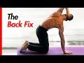 How to FIX Back Pain (RARE Back Pain Exercises)