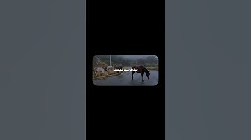 ‎فَإِنَّ مَعَ العُسرِ يُسرًا | محمد صديق المنشاوي | سورة الشرح
