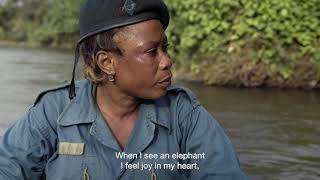 Silent Forests Owm Environmental Impact Award Nominee 2020