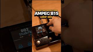 AMPEG Bass Tone on the HX STOMP