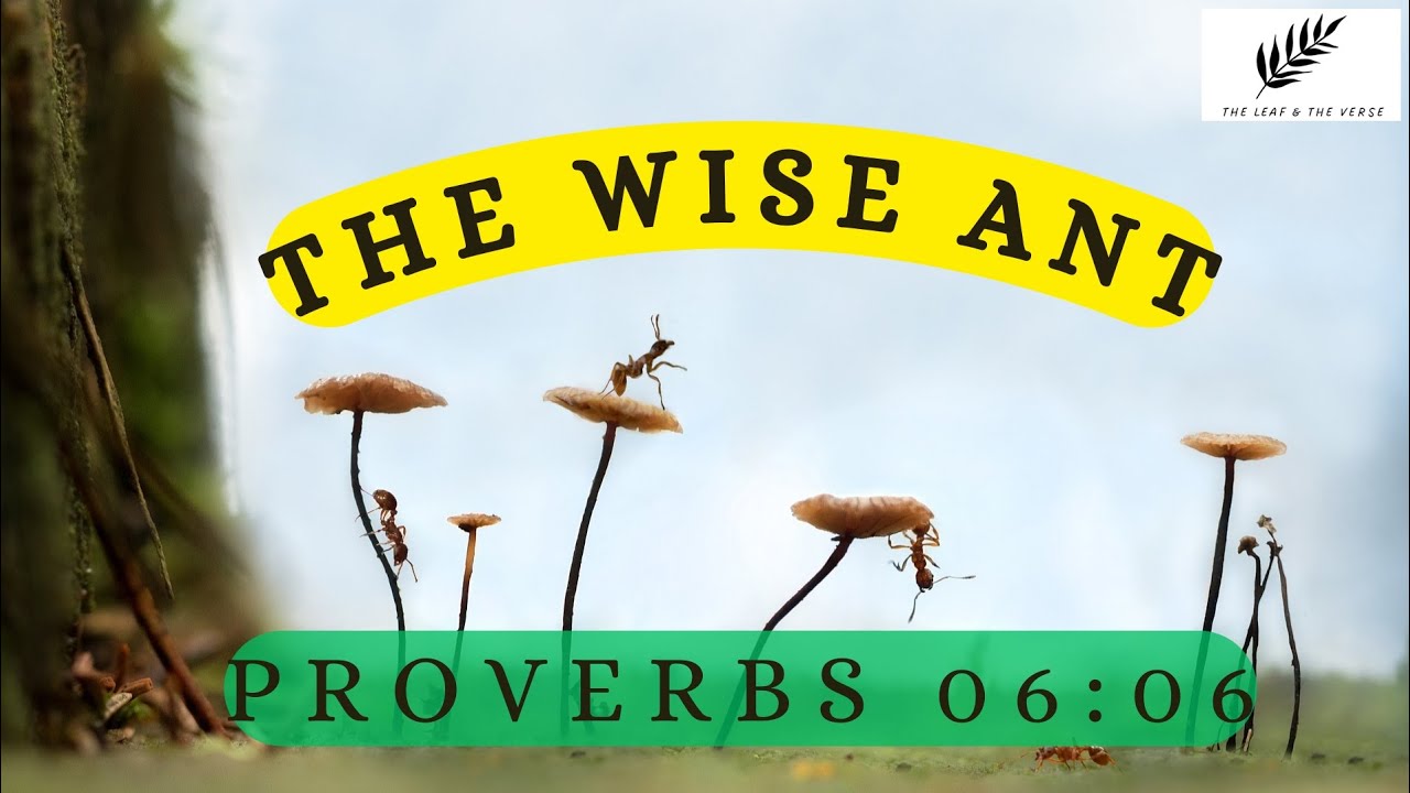 🐜 The Wise Ant: ✨  Preparing for the Future | Motivation story | 