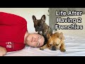 Life Before &amp; After Having 2 Frenchies