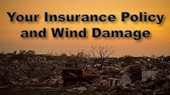 Insurance Policy: Wind Damage