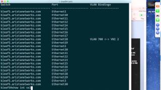 Demonstration of bare metal integration with Arista Networks