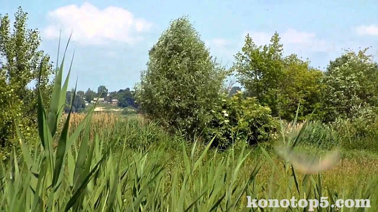 Конотоп, Кандибина, 