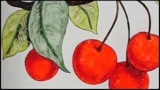 Yetiskinler icin  boyama - Rengarenk hayat