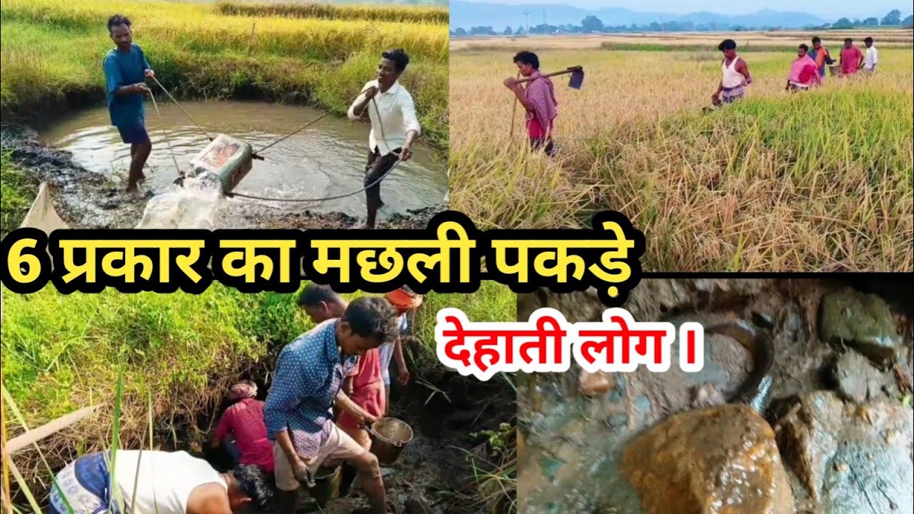 6 प्रकार का मछली पकड़े  | देहाती लोग | #Gareebrsvlogs#dailyvlog