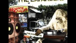 The Expanders - Flesh and Bone HQ chords