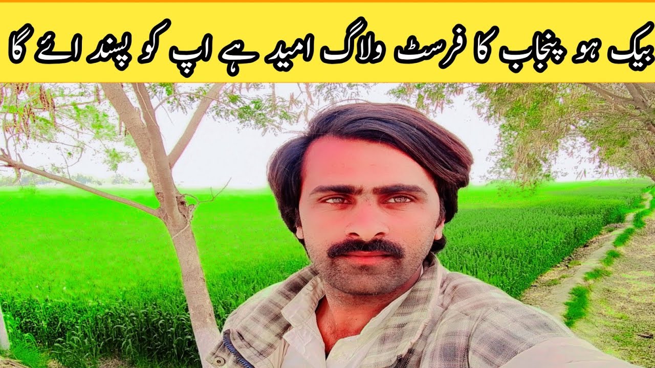 Dakho Punjab ka farist balag umeed ha AP ko Pasand ay ga