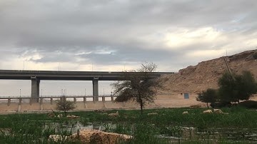 ما تيسر من سورة الكهف.
