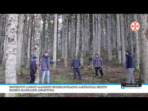 ეროვნული სატყეო სააგენტო ინვენტარიზაციის სამუშაობებს ქვეყნის მასშტაბით აგრძელებს