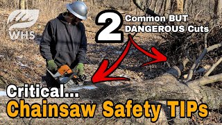 Deer Habitat Chainsaw Safety Tips by Whitetail Habitat Solutions 3,799 views 1 month ago 12 minutes, 5 seconds