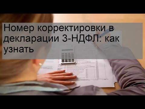 Номер корректировки в декларации 3-НДФЛ: как узнать