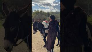 نشرة الدرامات | ضحى العريبي تشعل الاجواء! وبيسان إسماعيل تضع الحزن في الجرن!