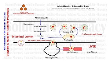 Metronidazole  (Antiamoebic Drugs) Mechanism of Action- Animation (HINDI) With FREE Online Test Link