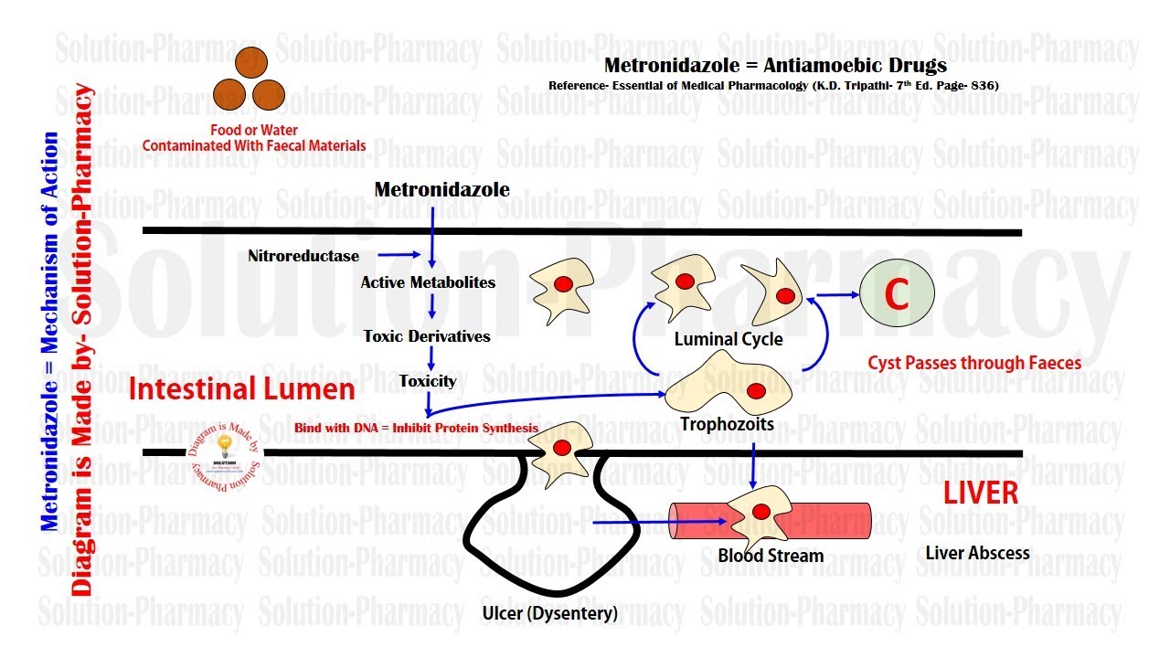 Metronidazole (Antiamoebic Drugs) Mechanism of Action