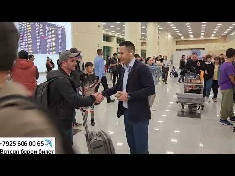 ПРИЛЕТ АЭРОПОРТ ДОМОДЕДОВО 25.10.2023г ✈️ ✈️