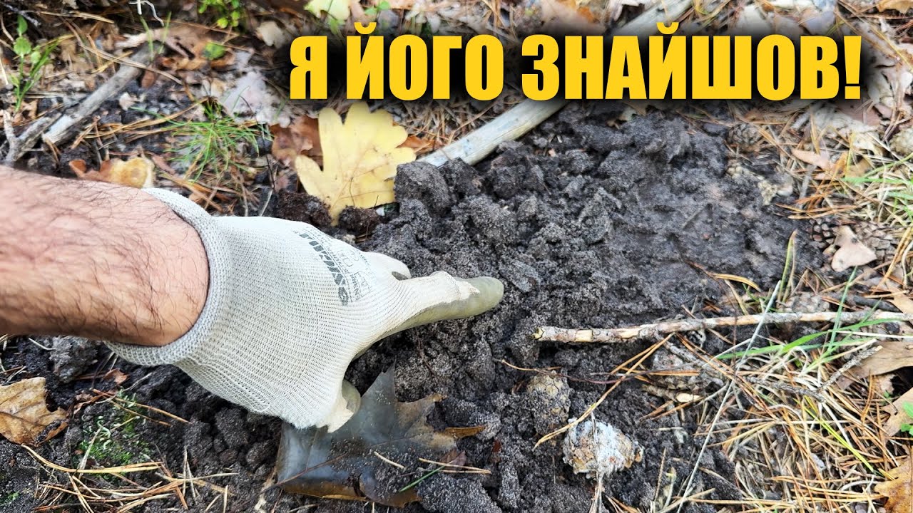 Не сподівався це знайти. Пошук з металошукачем в Україні