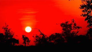 Tanzania Safari Adventure - Wildlife, Culture, and Unforgettable Memories