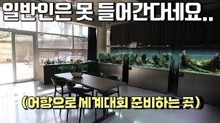 수초어항으로 세계대회 준비하는 태릉선수촌(?)이 있습니다