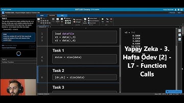 Osman Talha BİLİM - Yapay Zeka - 3.Hafta Ödev [2] L7 -Matlab Onramp Functions Calls