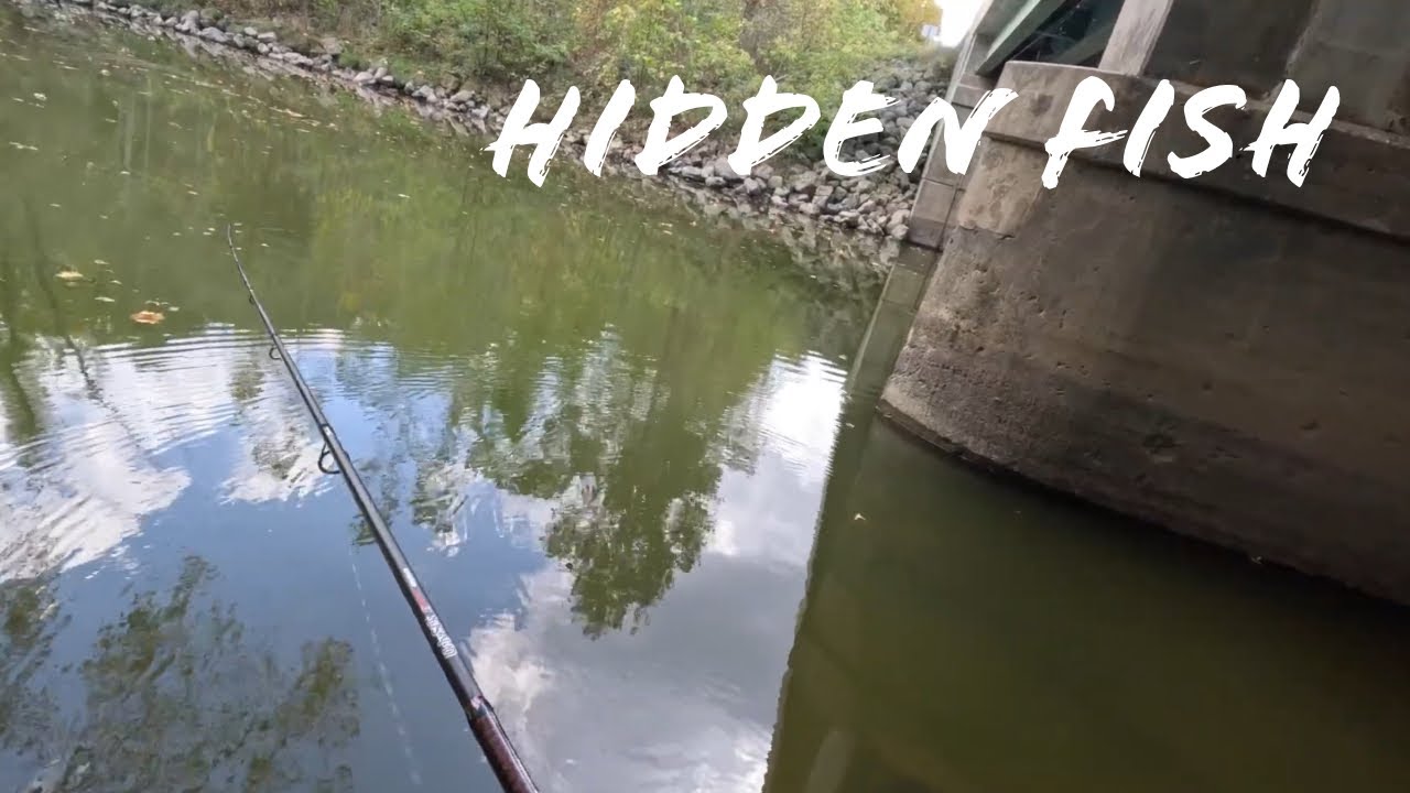 EARLY Fall BASS Fishing in RIVERS
