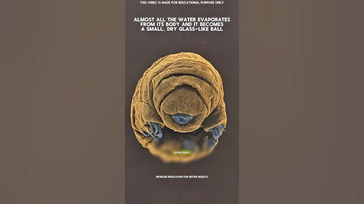 This Tiny Creature Can Survive Space, Radiation & Freezing Cold! #facts #science #shorts