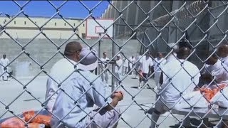 California is granting early release to 3,500 inmates in an effort
curb the spread of coronavirus infections state prison system.
decision ...