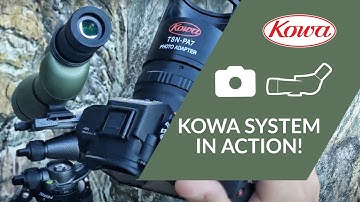 Kowa System Digiscoping in Action