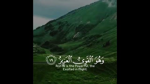 تلاوه خاشعه | بصوت القارئ علي جابر | حالات واتس اب دينيه♥♥.