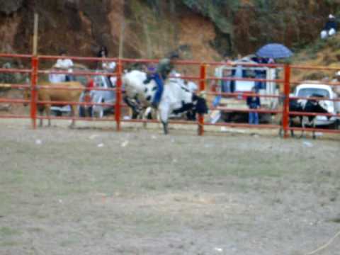 ASI SE MONTA EN MALINALTEPEC