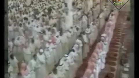 هيثم الجدعاني سورة السجدة