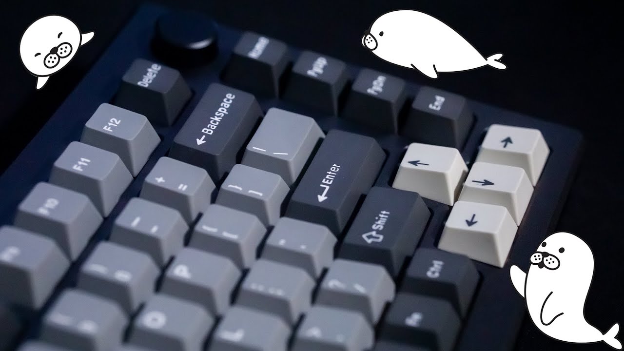 Kinetic Labs Seal PBT Keycap Set Review | High Quality, Low Price!