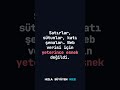 MongoDB Aslında Bir Yan Üründü 🤯#shorts