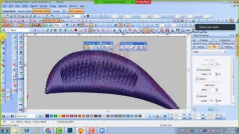 NEEDIL POINT BATCH 1 CLASS 2 INPUT TOOLS AND OUTLINE TOOLS WILCOM E2 03 10 2020