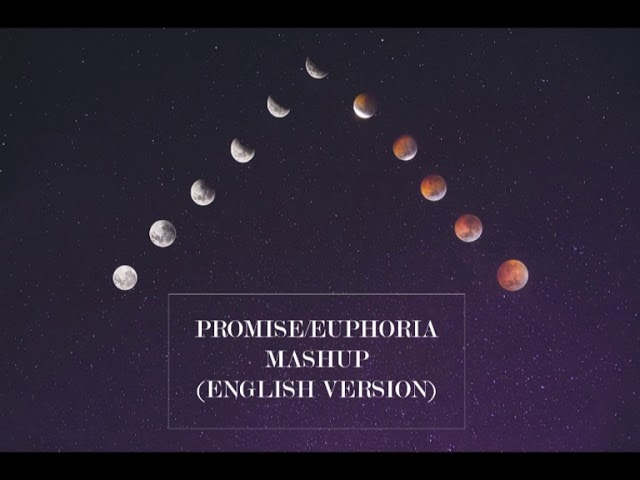 Promise/Euphoria mashup (English version) class=