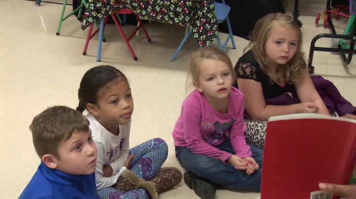 Parallel Teaching Model