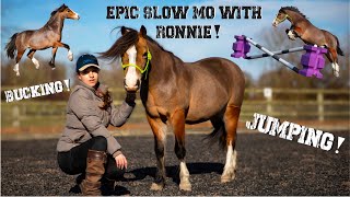 Epic Slow Mo With Ronnie! Jumping, bucking and more!