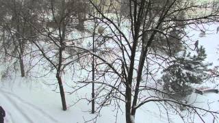 Снегопад в Ростове 28.01.2014