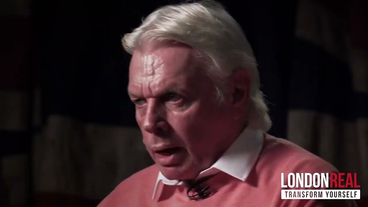 David Icke - Problem Reaction Solution