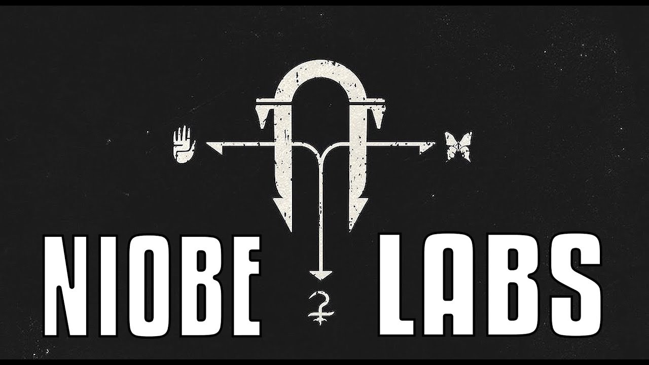 Niobe Labs is MADE for the 1% of Destiny 2!