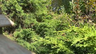 IMG 0633