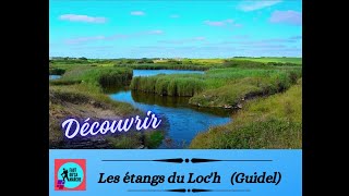 Découvrir les étangs du Loc'h à Guidel. #bretagnetourisme #randonnéebretagne