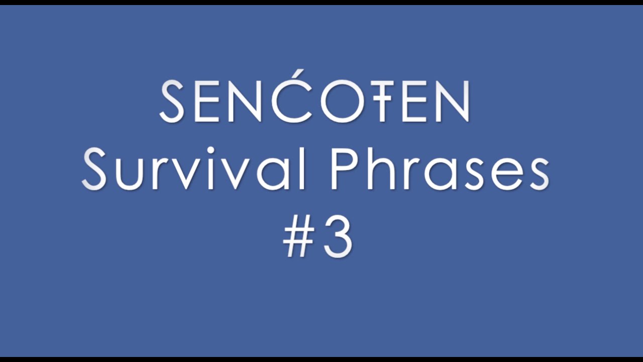 SURVIVAL PHRASES 3 SQES YouTube