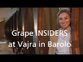 Grape INSIDERS: Vajra in Barolo
