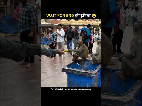 जानवरों के Gajab कारनामें 2🤣 Wait For End #shorts #funnyvideo #short