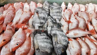 PESCADOS Y MARISCOS EN EL PASÓ DEL HUMO VERACRUZ MEXICO) #VAMOSX8000