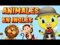 Inglés para Niños  | Animales en inglés  | Aprender Inglés