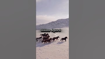 Thumbnail of Jo dekhe ek bar ko song