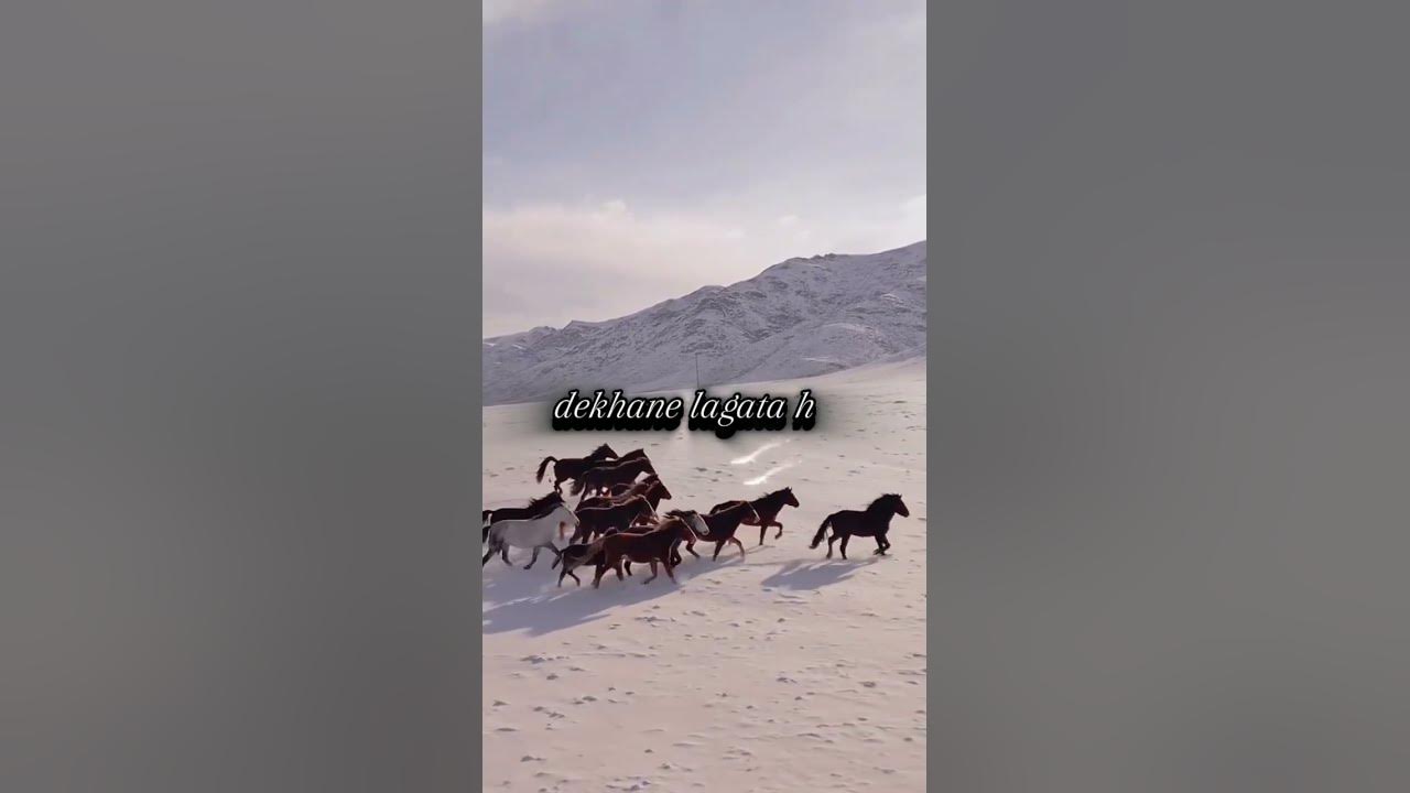 Jo dekhe ek bar ko song